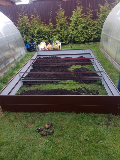 ������ ������������ � ���������� ��������� ������ 40 �� ������ �� 1 �