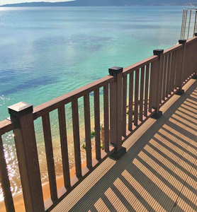 ��� ������