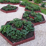 ������ "������� ���������� �����" 2 ����� ������� 150 � 200 ��