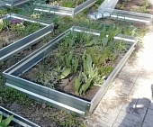 ������ ������������ ������� ���� ������ 20 �� ������ 0,5 �